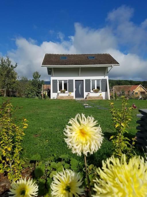 Gite Le Charmot, Au Pied Des Montagnes Classe 3* Roderen Esterno foto
