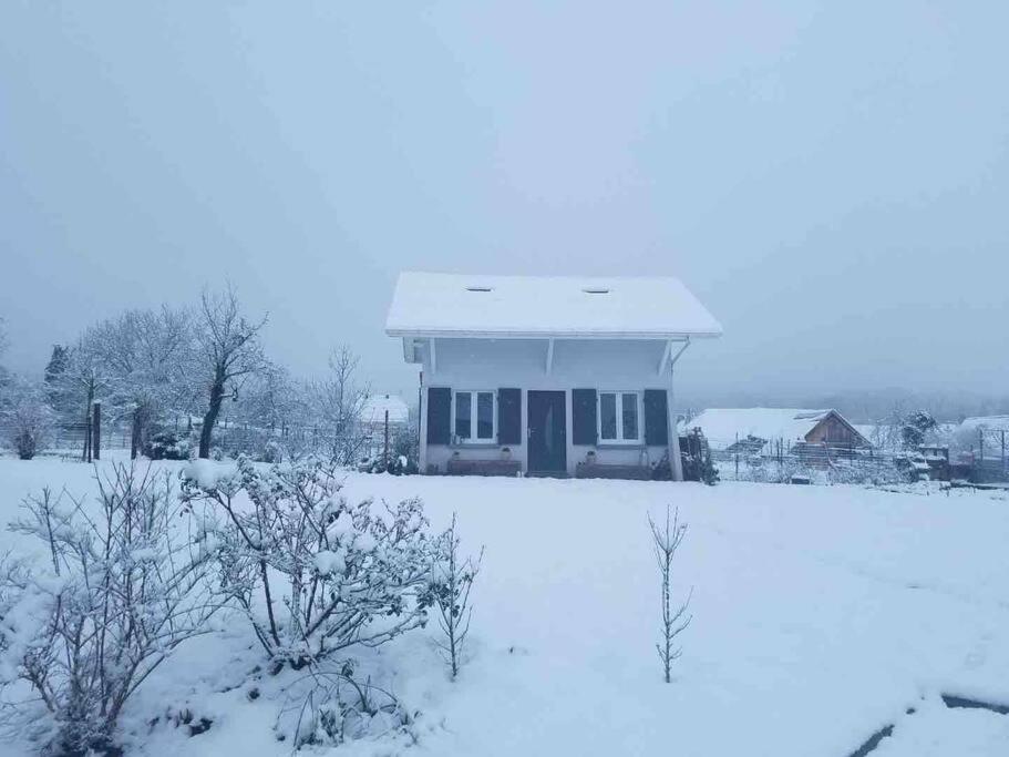Gite Le Charmot, Au Pied Des Montagnes Classe 3* Roderen Esterno foto