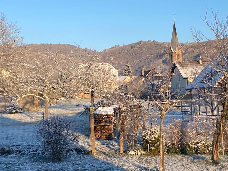 Gite Le Charmot, Au Pied Des Montagnes Classe 3* Roderen Esterno foto