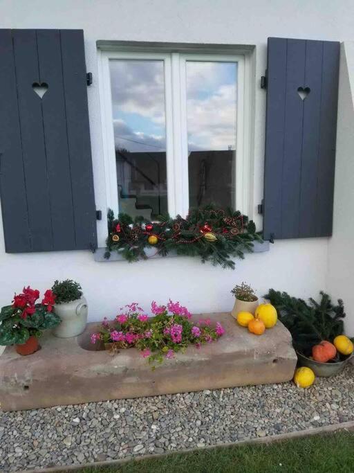 Gite Le Charmot, Au Pied Des Montagnes Classe 3* Roderen Esterno foto